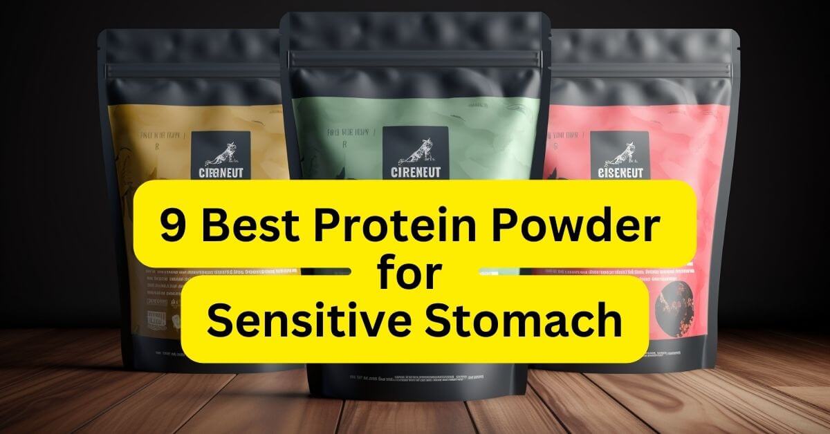 9 Best Protein Powder for Sensitive Stomach WellnessPagoda